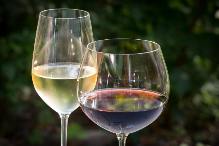 two glasses of wine, one white wine in a white wine glass, and one red wine in a rounder wider red wine glass